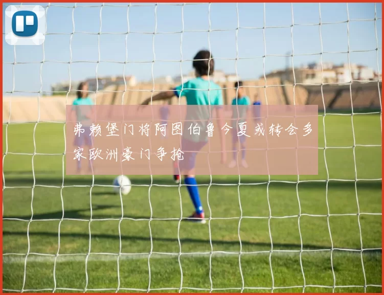 弗赖堡门将阿图伯鲁今夏或转会多家欧洲豪门争抢