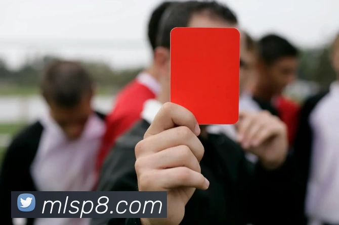 米兰体育平台生态图