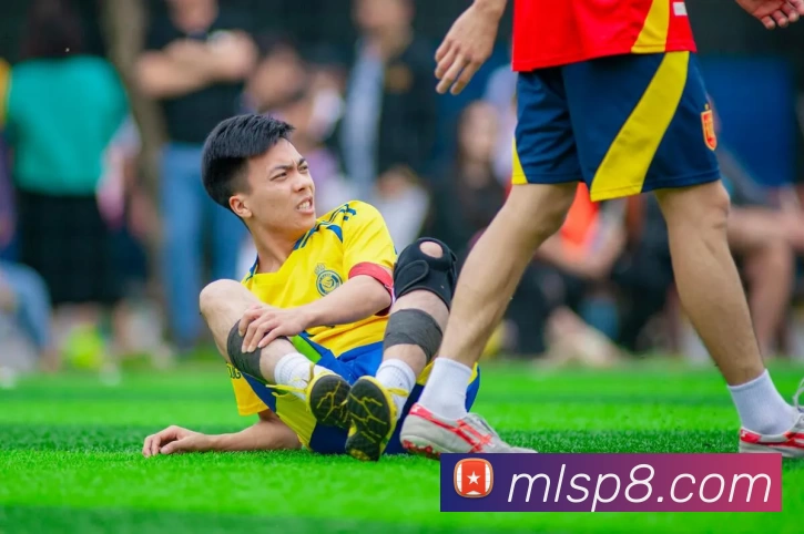 米兰体育APP 封面图